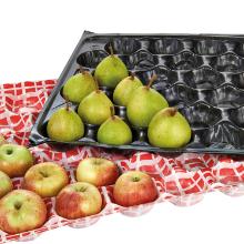 Nesti Plus B white 60x40cm with Danish flags 42 round fruits product photo