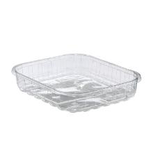 Clear rPET punnet F500/N26 142x119x26mm product photo