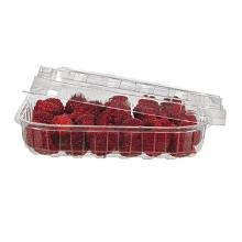 Plastbakke F500/N26 klar rPET 142x119x26mm m/r&oslash;d absorber pad product photo