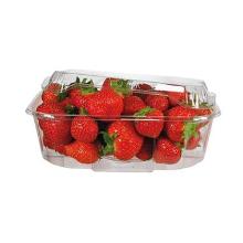 Lid CVPAF8 transparent rPET 166x127x19mm for PAF8 product photo