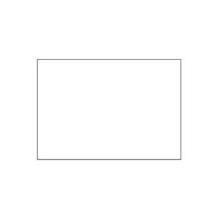 16x23 mm White Neutral product photo