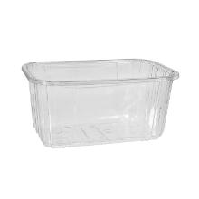 F19-12/70 transparent rPET 183x117x70mm product photo