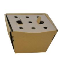 Multi box brown corrugated 93x83x87mm unfolded with hinged lid product photo