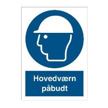 Sign P203 Head guard 148x210 vinyl product photo