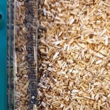 Wooden sawdust Black Alder product photo