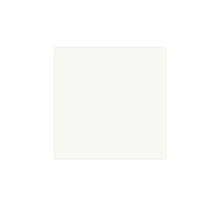 Serviet Duni 40x40cm hvid 1/4 fold 2 lag product photo
