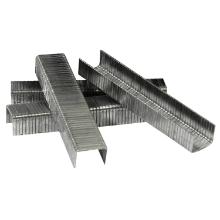 Staples 8mm galvanized for Probuilder staple gun product photo