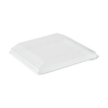 Lid square clear rPET 250x250x32mm f/platter or tapas product photo
