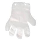 Blocked PE glove right hand Thickness 0.015mm product photo