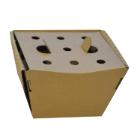Multi box brown corrugated 93x83x87mm unfolded with hinged lid product photo