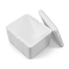 Thermo box for transportation Cool-Safe large 24l white EPS 400x300x330mm w/lid product photo