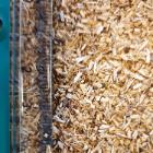 Wooden sawdust Black Alder product photo