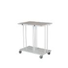 Garbagerack double White D750xB560xH830mm w/ lid for 110Ltr bag product photo