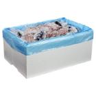 Bag Keepfresh blue MDPE 710x700x40mm 25my w. hanging holes antistatic product photo