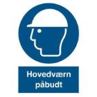 Skilt P203 Hovedv&aelig;rn 210X297 vinyl product photo