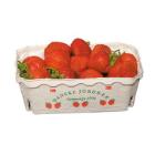 Tray Berigard Omni Danske Jordb&aelig;r 183x113x67mm pulp product photo