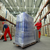 DEFAULTALM-ASS1ItemGroup0101506