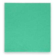 Cleaning cloth non woven 38x40cm green PrimeSource product photo