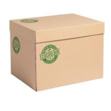 EcoCoolBox standaard 18.2L 39.5x29.5x29.5 cm bruin Productfoto