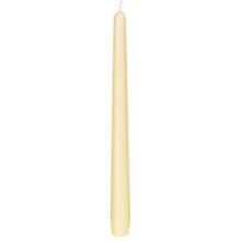 Duni tapered candle ø 2.2x25 cm cream 7.5 hours product photo