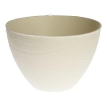 Bagasse bowl Bagastro high ø 10 cm 350 ml white product photo