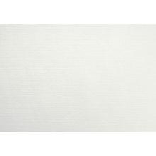 Duni Evolin®placemat 30x43.5 cm white product photo