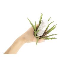 osme organic antioxidant moisturiser