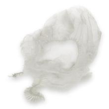 Plastic showercap bulk transparant Productfoto