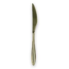 Table knife Gioia Special Gold RVS 18/10 22,7 cm product photo