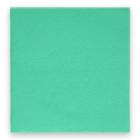 PrimeSource cleaning cloth non woven 10 kg/bulk 38x40cm green product photo