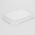 Plastic deksel PET rechthoek 18.5x14.3x2.5 cm transparant Productfoto