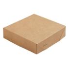 BioPak ecoecho® kartonnen deksel PLA bruin tbv maaltijdbak Viking Cube #2 Productfoto