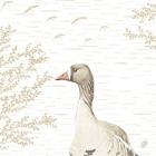 Duni Bio Dunisoft® servet 40x40 cm Wood & Goose wit #2 Productfoto