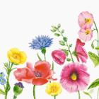 Duni Bio Dunisoft® napkin 40x40 cm Flowy Meadow print product photo