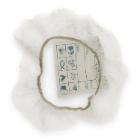 Multicover 1/4 GN 26.5x16.2 cm HACCP Productfoto