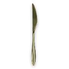 Table knife Gioia Special Gold RVS 18/10 22,7 cm product photo