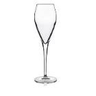 Luigi Bormioli champagne glass Atelier 20 cl product photo