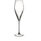 Luigi Bormioli champagne glass Atelier 27 cl product photo