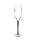Luigi Bormioli champagne glass Supremo 24 cl product photo