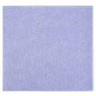 Ecolab Polifix viscose cloth 40x38 cm blue product photo