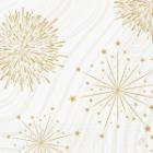 Duni tissue napkin 40x40 cm 3-ply Sparkly White product photo