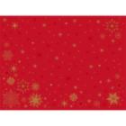 Duni Bio Dunicel® placemat 30x40 cm Stargazing rood #2 Productfoto