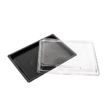 Sushi tray lid - 176x96x30 mm - PET clear (lidis PL) product photo