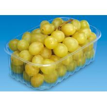 PP Gy&uuml;m&ouml;lcskos&aacute;r &aacute;tl&aacute;tsz&oacute; 750ml 185x116x75mm (IF-75) term&eacute;kfot&oacute;
