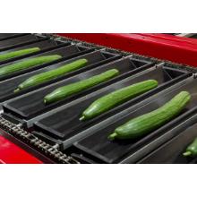 Aweta GS cucumber sorting machine product photo
