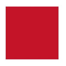 Duni 213103 tissue napkin, red, 40x40cm, 3ly, 1/4fold., 250pcs/set product photo