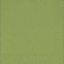 NAPKINS 2-PLY 33X33CM LEAF GREEN product photo