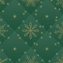 Duni 208472 Tissue Rhombus Green napkin, green, 40x40cm, 3-ply, 6x60pcs/piece (K product photo