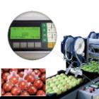 Xeda BCAP7 automatic labelling machine product photo