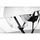 PHOENIX 4-point harness product photo